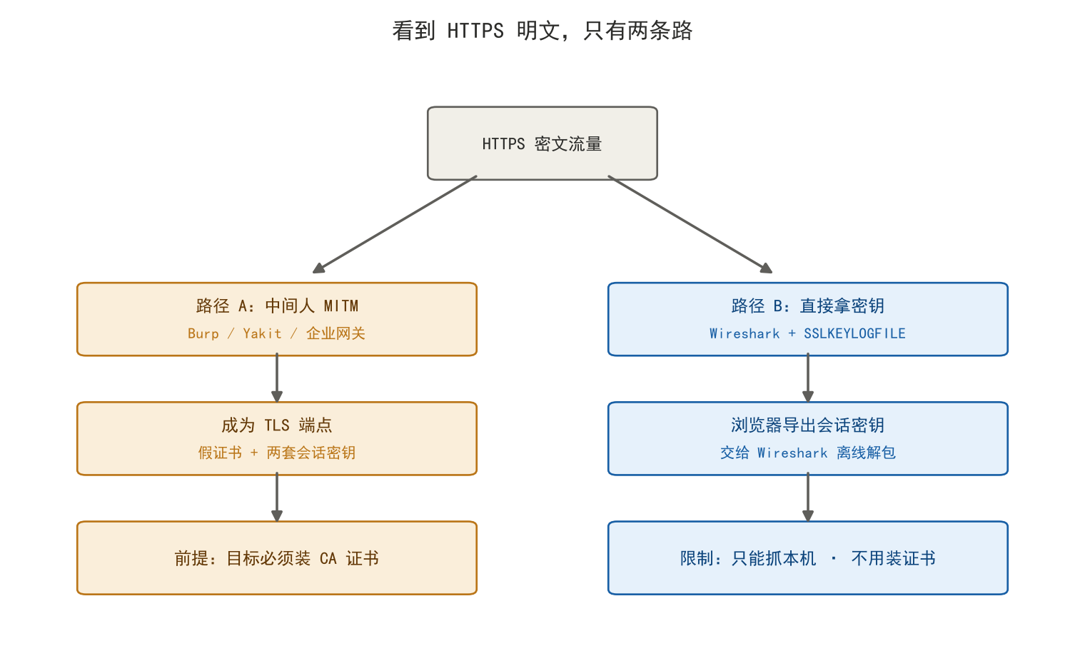 看到 HTTPS 明文的唯二路径